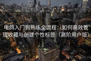电鸽入门到熟练全流程：如何高效管理收藏与创建个性标签（高阶用户版）