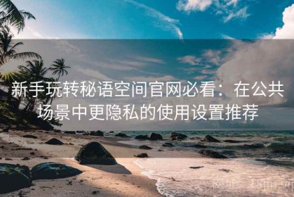 新手玩转秘语空间官网必看：在公共场景中更隐私的使用设置推荐