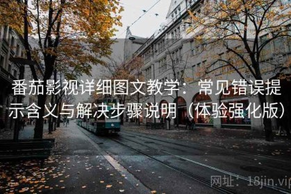 番茄影视详细图文教学：常见错误提示含义与解决步骤说明（体验强化版）