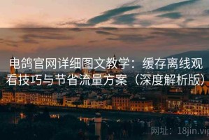 电鸽官网详细图文教学：缓存离线观看技巧与节省流量方案（深度解析版）