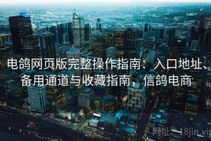 电鸽网页版完整操作指南：入口地址、备用通道与收藏指南，信鸽电商