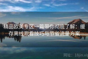 精品欧美专区一篇带你彻底了解：缓存离线观看技巧与节省流量方案