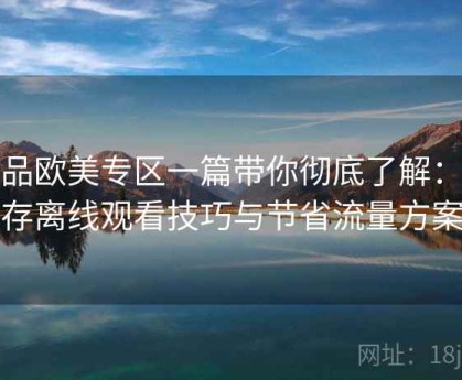 精品欧美专区一篇带你彻底了解：缓存离线观看技巧与节省流量方案