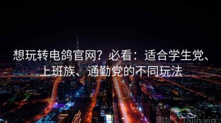想玩转电鸽官网？必看：适合学生党、上班族、通勤党的不同玩法