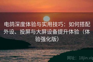 电鸽深度体验与实用技巧：如何搭配外设、投屏与大屏设备提升体验（体验强化版）