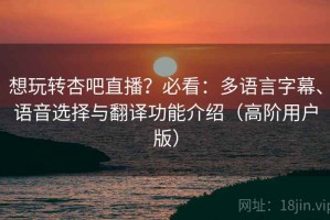 想玩转杏吧直播？必看：多语言字幕、语音选择与翻译功能介绍（高阶用户版）