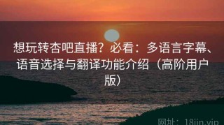 想玩转杏吧直播？必看：多语言字幕、语音选择与翻译功能介绍（高阶用户版）