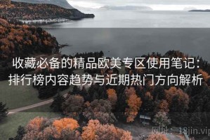 收藏必备的精品欧美专区使用笔记：排行榜内容趋势与近期热门方向解析