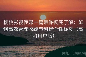 樱桃影视传媒一篇带你彻底了解：如何高效管理收藏与创建个性标签（高阶用户版）