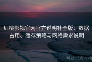 红桃影视官网官方说明补全版：数据占用、缓存策略与网络需求说明