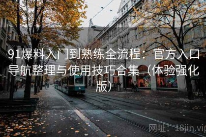91爆料入门到熟练全流程：官方入口导航整理与使用技巧合集（体验强化版）