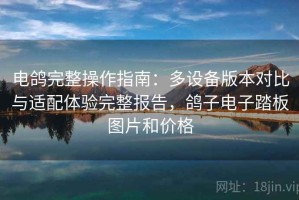 电鸽完整操作指南：多设备版本对比与适配体验完整报告，鸽子电子踏板图片和价格