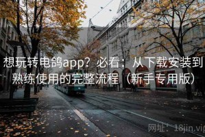 想玩转电鸽app？必看：从下载安装到熟练使用的完整流程（新手专用版）