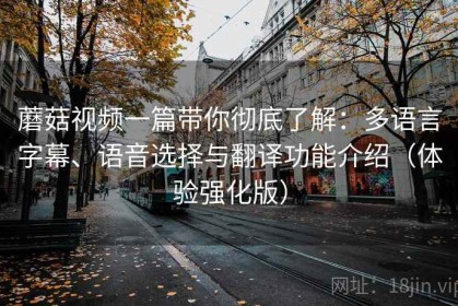 蘑菇视频一篇带你彻底了解：多语言字幕、语音选择与翻译功能介绍（体验强化版）