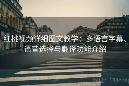 红桃视频详细图文教学：多语言字幕、语音选择与翻译功能介绍