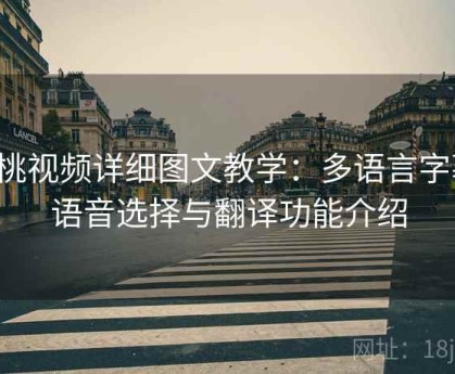 红桃视频详细图文教学：多语言字幕、语音选择与翻译功能介绍