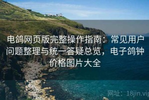 电鸽网页版完整操作指南：常见用户问题整理与统一答疑总览，电子鸽钟价格图片大全