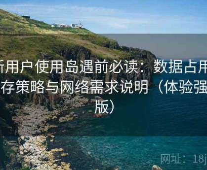 新用户使用岛遇前必读：数据占用、缓存策略与网络需求说明（体验强化版）