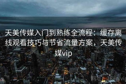 天美传媒入门到熟练全流程：缓存离线观看技巧与节省流量方案，天美传媒vip