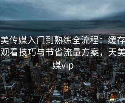 天美传媒入门到熟练全流程：缓存离线观看技巧与节省流量方案，天美传媒vip