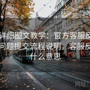 17cs详细图文教学：官方客服反馈渠道与问题提交流程说明，客服反馈是什么意思