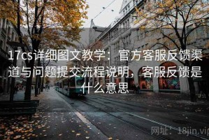 17cs详细图文教学：官方客服反馈渠道与问题提交流程说明，客服反馈是什么意思