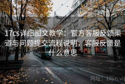 17cs详细图文教学：官方客服反馈渠道与问题提交流程说明，客服反馈是什么意思