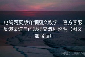 电鸽网页版详细图文教学：官方客服反馈渠道与问题提交流程说明（图文加强版）