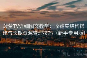 菠萝TV详细图文教学：收藏夹结构搭建与长期资源管理技巧（新手专用版）