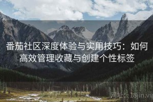 番茄社区深度体验与实用技巧：如何高效管理收藏与创建个性标签