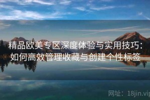 精品欧美专区深度体验与实用技巧：如何高效管理收藏与创建个性标签