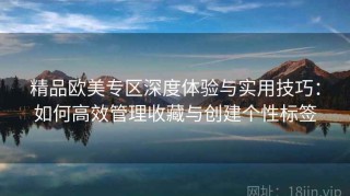 精品欧美专区深度体验与实用技巧：如何高效管理收藏与创建个性标签