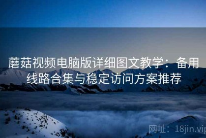 蘑菇视频电脑版详细图文教学：备用线路合集与稳定访问方案推荐