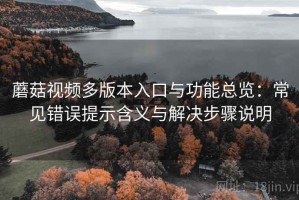 蘑菇视频多版本入口与功能总览：常见错误提示含义与解决步骤说明