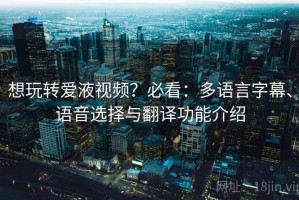 想玩转爱液视频？必看：多语言字幕、语音选择与翻译功能介绍