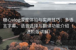 糖心vlog深度体验与实用技巧：多语言字幕、语音选择与翻译功能介绍（进阶版讲解）