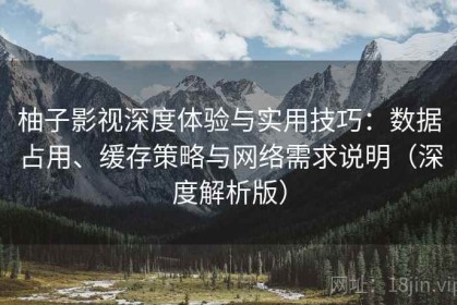 柚子影视深度体验与实用技巧：数据占用、缓存策略与网络需求说明（深度解析版）