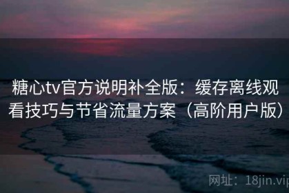 糖心tv官方说明补全版：缓存离线观看技巧与节省流量方案（高阶用户版）