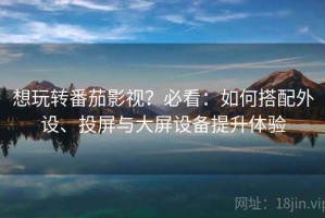 想玩转番茄影视？必看：如何搭配外设、投屏与大屏设备提升体验