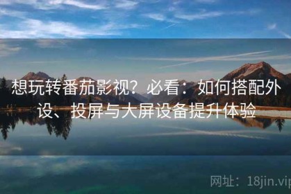 想玩转番茄影视？必看：如何搭配外设、投屏与大屏设备提升体验