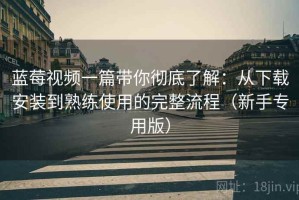 蓝莓视频一篇带你彻底了解：从下载安装到熟练使用的完整流程（新手专用版）