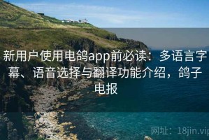 新用户使用电鸽app前必读：多语言字幕、语音选择与翻译功能介绍，鸽子电报