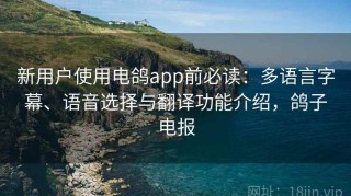新用户使用电鸽app前必读：多语言字幕、语音选择与翻译功能介绍，鸽子电报