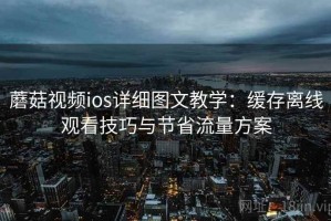 蘑菇视频ios详细图文教学：缓存离线观看技巧与节省流量方案