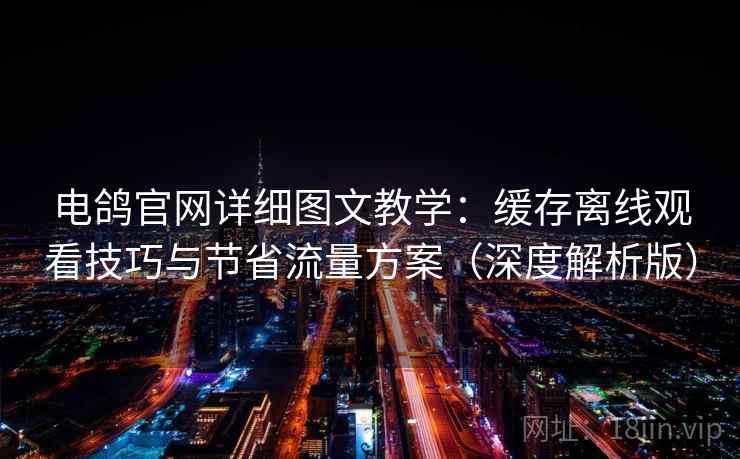 电鸽官网详细图文教学：缓存离线观看技巧与节省流量方案（深度解析版）