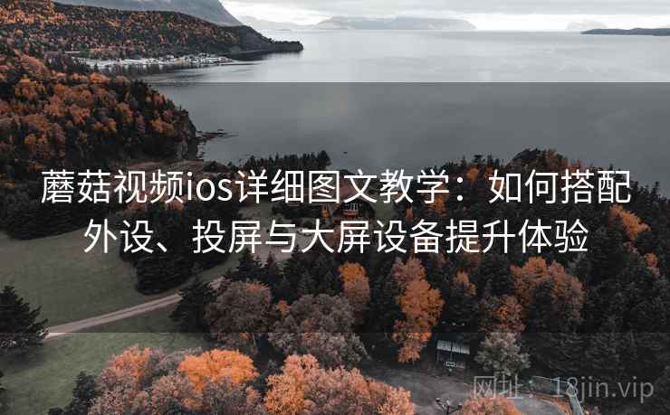蘑菇视频ios详细图文教学:如何搭配外设、投屏与大屏设备提升体验 蘑菇视频ios详细图文教学:如何搭配外设、投屏与大屏设备提升体验