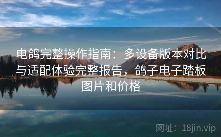 电鸽完整操作指南：多设备版本对比与适配体验完整报告，鸽子电子踏板图片和价格