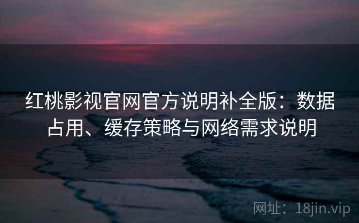 红桃影视官网官方说明补全版：数据占用、缓存策略与网络需求说明