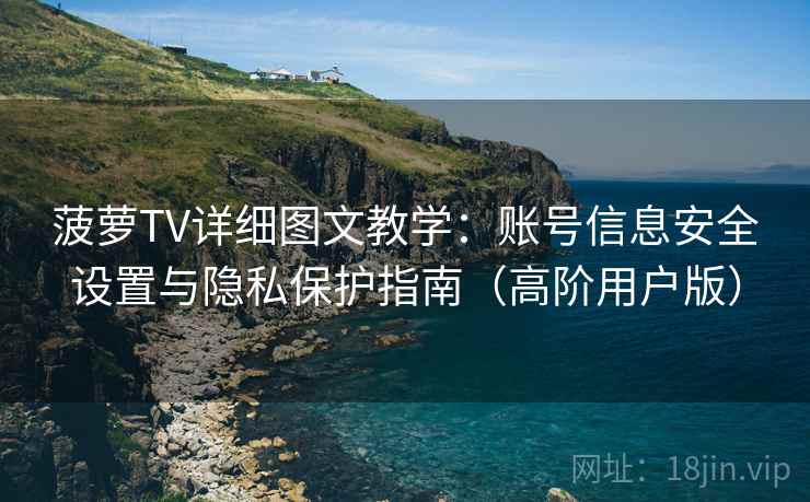 菠萝TV详细图文教学：账号信息安全设置与隐私保护指南（高阶用户版）