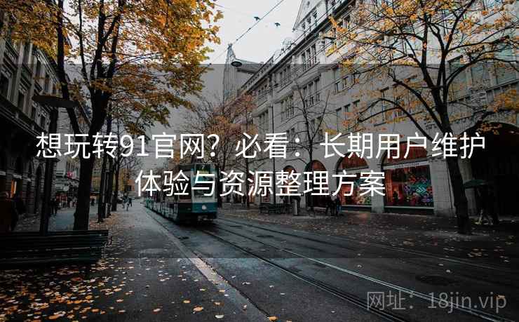 想玩转91官网？必看：长期用户维护体验与资源整理方案